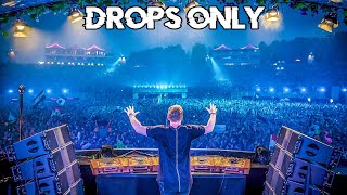 Hardwell Tomorrowland 2015 Drops Only [upl. by Allecnirp]