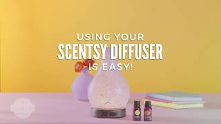 Scentsy Oil Diffuser Tutorial [upl. by Geordie776]