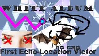 I beat an Extreme Demon in 419 attempts using EchoLocation [upl. by Elynad]