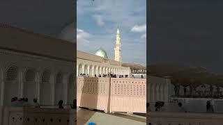 Madina calling ❤️🥹 live viralvideo madina trending foryou madinah makkah youtubeshorts [upl. by Ecenahs348]