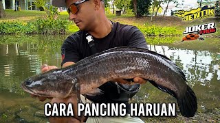 CARA MANCING HARUAN [upl. by Nim60]