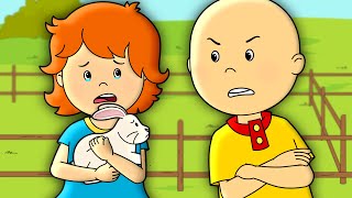 Caillous Bunny  Caillou Cartoon [upl. by Ihskaneem96]