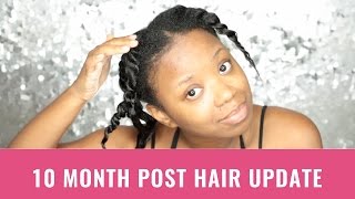 Transitioning Natural Hair Update  10 Months Post Relaxer [upl. by Reffineg]