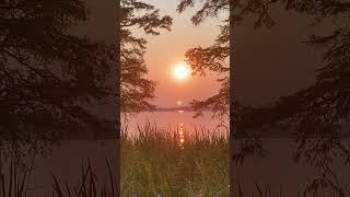 Tennessee Sunset Lake Reelfoot shorts sunset vanlife travel america tennessee [upl. by Skippie]