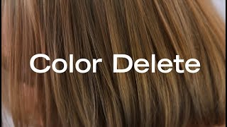 How To Remove Permanent Haircolor In a Single Step  Color Delete [upl. by Ambur918]