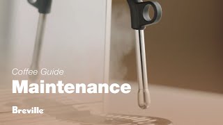 The Bambino® Plus  How to clean and unblock the steam wand on your espresso machine  Breville USA [upl. by Quartas]