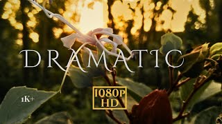 DRAMATIC Cinematic Shots on OPPOA3sScenery703 [upl. by Fee]