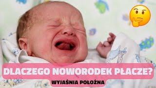 7 Najczęstszych przyczyn płaczu noworodka  wyjaśnia położna [upl. by Melia]