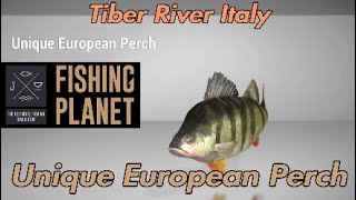 Unique European Perch  Tiber River Italy  Fishing Planet Guide [upl. by Ifar]