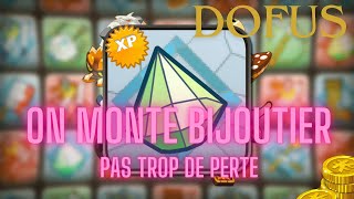 DOFUS METIER 3M POUR UP BIJOUTIER [upl. by Ardnekal]