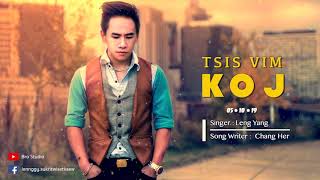 Tsis Vim Koj  Leng Yang OFFICIAL AUDIO [upl. by Elinnet]