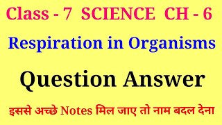 respiration in organisms class 7 question and answer  class 7 science chapter 6 question answer [upl. by Devad]