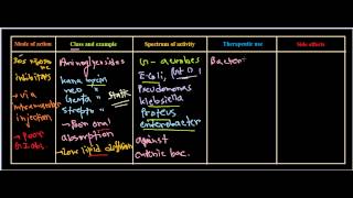 Aminoglycosides antibiotics [upl. by Aihtela762]