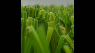 cesped artificial excluisve sibarigrass [upl. by Nayk580]