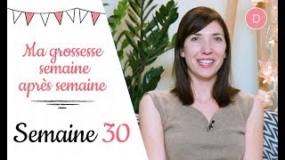 30ème semaine de grossesse – La 3ème échographie [upl. by Hutchins313]