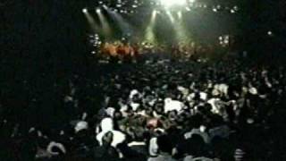 LOS FABULOSOS CADILLACS  El aguijón Estadio Obras Buenos Aires 22071994 [upl. by Reina]