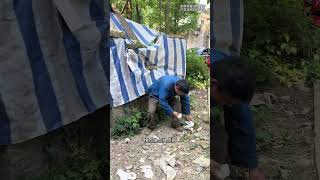 Funny videos in rural areas will make you laugh and forget your worries Funny Brother Tianlang Tea [upl. by Gaudette403]