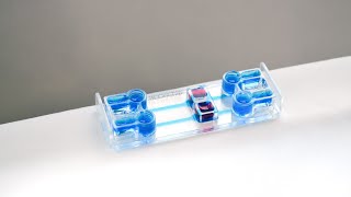 BeTransflow Cell culture [upl. by Daryn788]