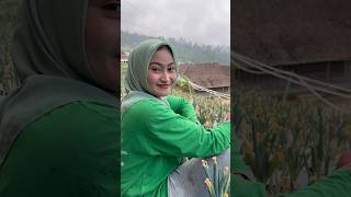 PETANI CANTIK KERJA DI LADANG SIRAM TANAMAN [upl. by Ermeena]