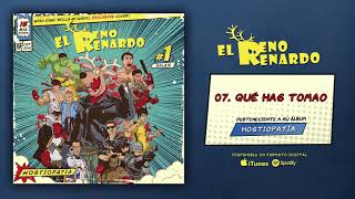 EL RENO RENARDO quotQué Has Tomaoquot Audiosingle [upl. by Atnoid]