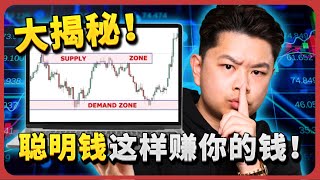 聪明钱制胜法则的交易秘密！Supply amp Demand策略全解析，一步步带你轻松上手！How Smart Money Trades SUPPLY amp DEMAND StepbyStep [upl. by Mccahill202]