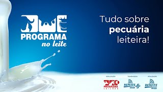 PROGRAMA NO LEITE • Leilões e informações da pecuária leiteira [upl. by Nihcas12]