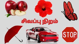 Red color objects in Tamil  40 சிவப்பு நிற பொருட்கள் [upl. by Lucilla923]