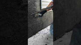 Skip Trowel Parging Texture Knockdown stucco plastering [upl. by Pilif421]