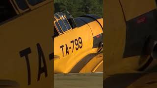 North American Aviation T6 Texan Take Off [upl. by Eytteb150]