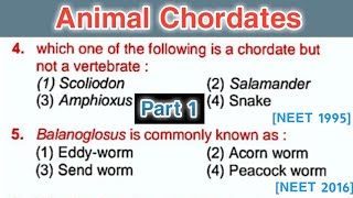 Chordates mcqs  Animal kingdom mcq for NEETBiology mcqs Part 1 [upl. by Anassor129]