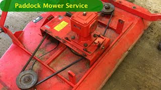 Delmorino PRM150  Mower Service [upl. by Lipsey]