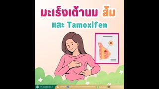 มะเร็งเต้านม ส้ม และTamoxifen [upl. by Esyla]