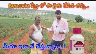 మిరప లో Benevia మీరూ కూడా ఇలా స్ప్రే చేస్తున్నారా ఐతే మీరూ నష్ట పోతున్నారు mirchi [upl. by Guglielma]