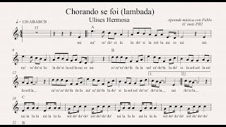 CHORANDO SE FOI  LAMBADA PB2 flauta violín oboe partitura con playback [upl. by Airret]