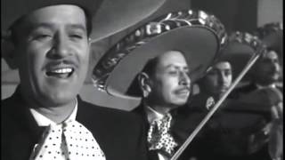 Pedro Infante  Mi Tenampa [upl. by Naimerej]