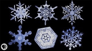 The Science of Snowflakes [upl. by Ottillia446]