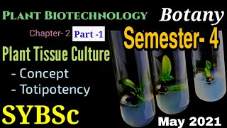 SYBSc  Sem4Pep2 Chapter2 Part 1 Introduction to Plant Tissue Culture  Cellular Totipotency [upl. by Monteith134]