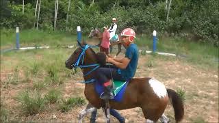 CORRIDA DE CAVALOS VENECA X GARBOSA [upl. by Pius]