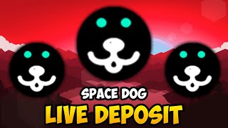 SPACE DOG  THE NEXT AMZDOGE LIVE DEPOSIT EARN 4 PER DAY SPACE DOGSS [upl. by Gigi]