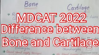 Difference between bone and Cartilage  MDCAT 2022   pOwer of knowledge [upl. by Inavoy]