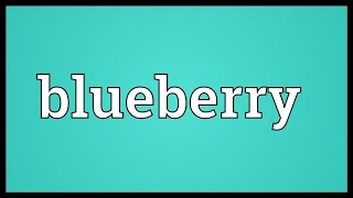 Blueberry Meaning [upl. by Jezrdna218]