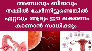 Early Pregnancy Symptoms Deechus world Malayalam [upl. by Eeralav]