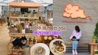 남양주 애견동반식당 몽글브라운 애견카페 나들이 Namyangju Dog Restaurant Mongle Brown Dog Cafe [upl. by Kerrin]