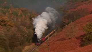 B1 No 61264 on photo charter on the NYMR [upl. by Edwin]