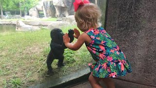 Little Friends Have Adorable Encounters With Animals At The Zoo [upl. by Patrick]