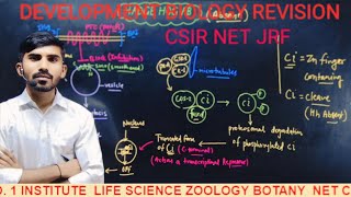 CSIR NET JRFDEVELOPMENT BIOLOGY REVISIONHedge hogampwnt Signaling Part 2 By  TR SIR [upl. by Noloc]