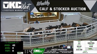 2272024  OKC West Calf and Stocker Auction [upl. by Eve523]