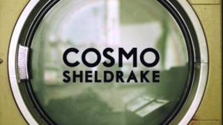 Cosmo Sheldrake  The Moss demo [upl. by Nihahs]