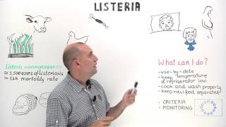 Listeria infections in humans [upl. by Winterbottom]