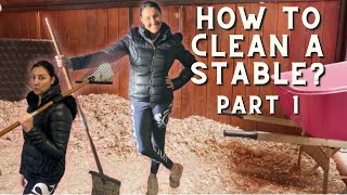 HOW TO CLEAN A STABLE Part 1  Equestrian Education How To Clean A Horse Stable [upl. by Newcomb]